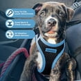 thumbnail image 3 of Voyager Step-In Air Mesh Dog Harness by Best Pet Supplies, 3 of 10