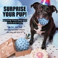 thumbnail image 2 of Juguete para Perros Apasiri Pelota Interactiva Chirriante para Mascotas que Mastican Fuerte, 2 of 6