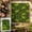C, variant on Expandable Artificial Hedge Fence - Faux Leaf Privacy Screen Panel for Balcony, Patio or Indoor Decor, Realistic Green Wall Divider