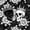 Black White, variant on Castle Fairy Spooky Rose Bloom Twin Quilt Set,Boho Crowned Skull Twin Coverlet Set,Black White