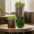 thumbnail image 4 of TEHAUX Decorative Simulated Moss Spheres for Home, Bowl, Vase, and Tabletop Decor, 4 of 8