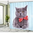 thumbnail image 5 of Ambesonne Cat Shower Curtain, Grey Scottish Fold Theme, 69"Wx70"L, Pale Blue Purpleblue, 5 of 5