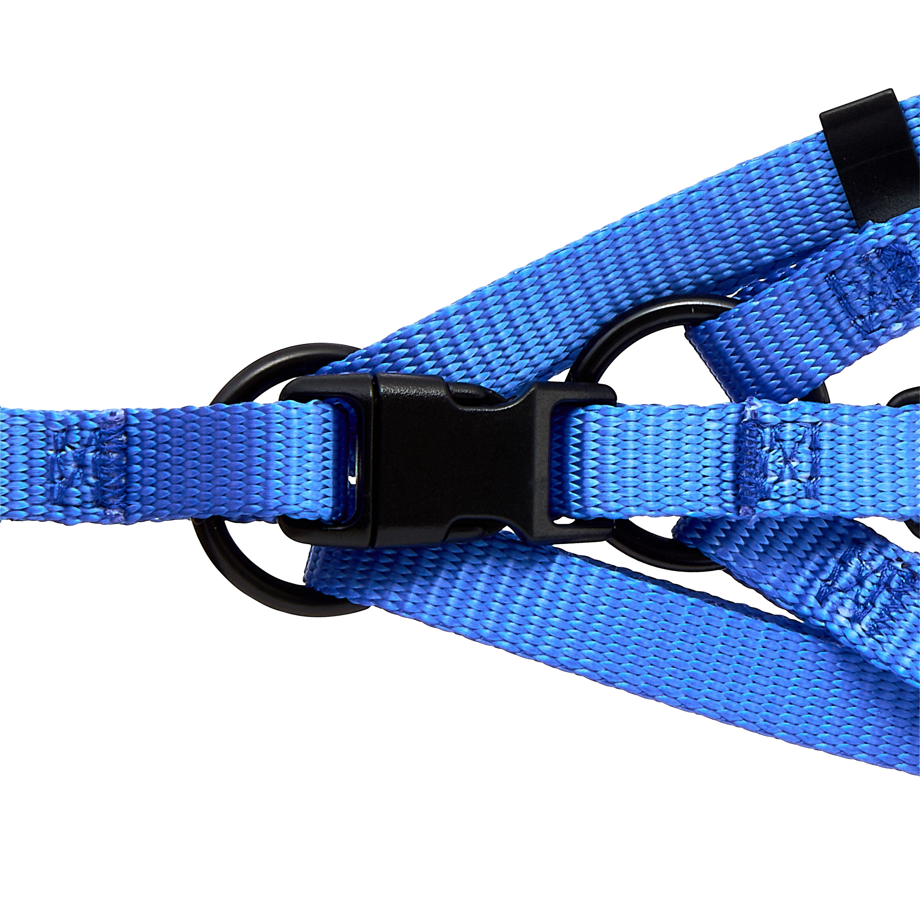 Vibrant Life Polyester Step-in Dog Harness, Blue, M