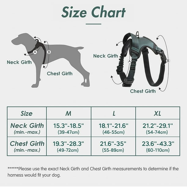 Laisse pour chien sans choc pour les grands chiens, laisse