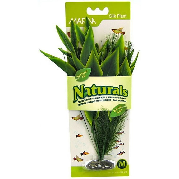 Marina Silk Dracena Aquarium Plant - Green [Aquarium, Plants Marine] Medium (8" Tall)