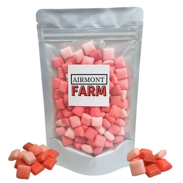 Freeze-Dried Starburst Mini 6oz Fruit Burst Candy - Fave REDS (Strawberry, Watermelon, Fruit Punch, Cherry Flavors), Deliciously Hard and Crunchy, Intense Flavor, Lightweight Snack - Resealable Bag