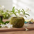 thumbnail image 5 of Moss Ball Planter Pot,Moss Sphere Potted Container, 5.91-Inch Outer 3.15-Inch Inner Horticultural Planting Bowl for Green Succulent Bonsai Display, 5 of 5