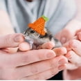 thumbnail image 3 of GYTY Mini Knit Pet Hats for Mice Birds Lizards Squirrels Guinea Pigs Sugar Gliders - Adjustable Lanyard - Cute Accessories for Small Animals for Pet Parties Daily Fun! (Carrot), 3 of 7
