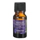 thumbnail image 1 of Recambio Perfume para Coche Ambientador Aceite Esencial Humidificador Plantas 10ML (violeta), 1 of 4
