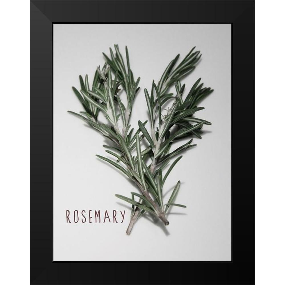 Prime, Marcus 15x18 Black Modern Framed Museum Art Print Titled - Time-Honored Rosemary 1