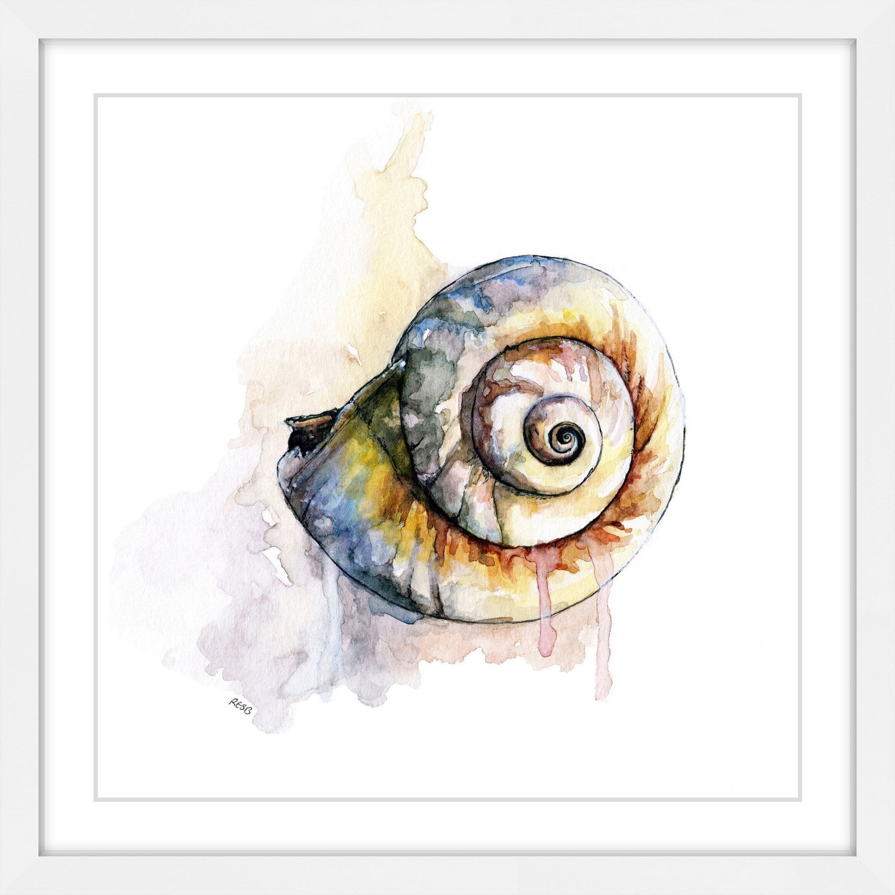Marmont Hill "Snail Shell" by Rachel Byler Framed Painting Print