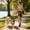 🍀Orange_Base#442, variant on No Pull Double Dog Leash with Elastic Bungee, Shock Absorbing Reflective Lead for Walking Two Medium to Large Dogs
