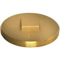 thumbnail image 6 of Oatey 42373 Cleanout Pipe Plug, 3-1/2 in, Raised Head, Brass, 6 of 6