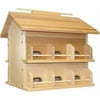 Heath Outdoor Products Wood Starling Resistant Martin Bird House