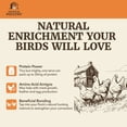 thumbnail image 6 of Premium Poultry 10 lb Dried Black Soldier Fly Larvae Chicken Feed Protein Treats, 6 of 11