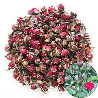 CoolCrafts Dried Rose Buds Edible Rose Tea Fragrant Dried Flowers for Tea, Baking, Crafting, Soap Making, Resin, Potpourri - Pink Rose Buds 2oz