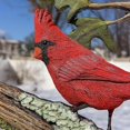 thumbnail image 3 of Cardenal tallado en madera estatua jardín escultura animal hecha a mano Orn, 3 of 4