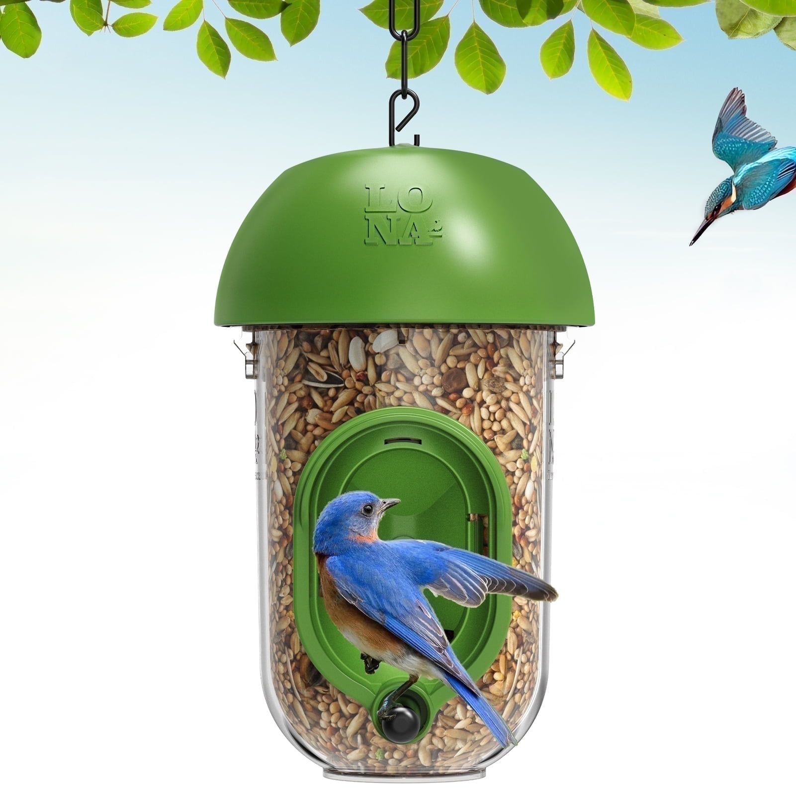 Where to Buy Droll Yankee Bird Feeders: Top Trusted Sources