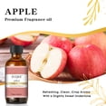 thumbnail image 2 of EUQEE 2PCS Apple Fragrance Oil, Aromatherapy Essential Oils for Skin, Diffusers,Skin Care,Humidifier Laundry,Candle Making,Diffuser Oil Scents(60ml), 2 of 7