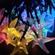 thumbnail image 4 of Dinheiro 30 luces LED solares de estrella de mar con 8 modos de iluminación, luces de cadena de hadas para jardín, patio, césped, 4 of 5