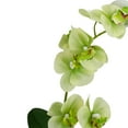 thumbnail image 4 of Northlight Real Touch™️Artificial Orchid Potted Plant - 14" - Green, 4 of 7