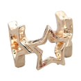 thumbnail image 1 of Pendientes con clip para la oreja de estrella exquisita de Fahion, accesorios de joyería con forma de gota para mujer (oro rosa), 1 of 2