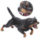 thumbnail image 4 of Kid Educational Toy Cute Dog Model Simulation Miniature Animal Home Decor, 4 of 4