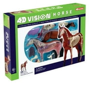 Horse Anatomy Model, 4D Vision