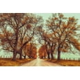 thumbnail image 2 of Grippo-Pike, Carrie Ann 18x13 White Modern Wood Framed Museum Art Print Titled - November Adventures, 2 of 4