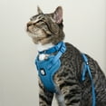 thumbnail image 2 of Vibrant Life Mesh Cat Harness & Leash Set, Blue, One Size Fits Most, 2 of 7