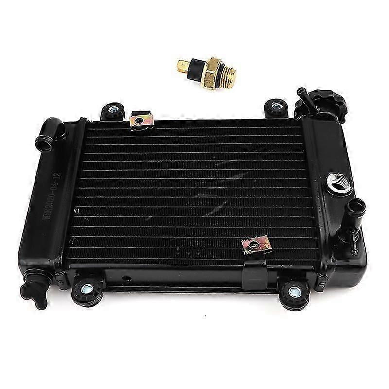 Buggy Rear Radiator ATV Water Cooling Engine Cooler Radiator Cooling + Fan for 150cc 250cc ...