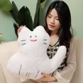thumbnail image 4 of Trayknick Cute Cat Plush Pillow with Zipper - Fully Filled Companion Sleep Pillow, Cartoon Kitten Plushies, Soft Stuffed Animal Doll for Home Decor and Kids' Girl Gifts, 4 of 8