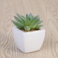 thumbnail image 3 of MLINS Cute Fake Succulent Plants in White Ceramic Planters for Decor Use 4Pcs Mini Assorted Green 3.5x3.5x3.5 Inches, 3 of 8