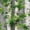Color 1, variant on Peel and Stick Wallpaper Black White Birch Tree Trunk Detailed Bark Texture Wall Mural 23.6in x 9.8ft Self Adhesive Removable Wall Paper Renter Friendly Wallpaper for Nursery Bedroom Cabinets