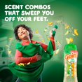 thumbnail image 4 of Gain Tango 2-in-1 Laundry Scent Booster Beads, Apple and Mango Scent, Laundry Beads with Dual Scents Plus All Day Freshness, 4 of 20
