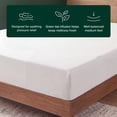 thumbnail image 4 of Zinus Spa Sensations 8" Full Memory Foam Mattress in a Box with Green Tea Infusion and Pressure Relief, 4 of 11