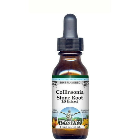 Stone Root Extract - Collinsonia (Stone Root) - Glycerite Liquid Extract (1:5) - Mint Flavored (1 oz, ZIN: 513294)