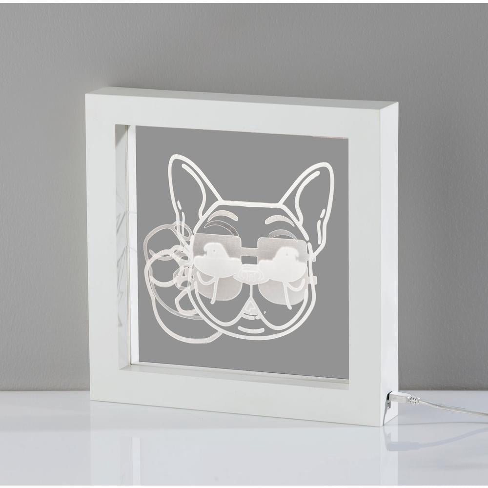 Simplee Adesso Cool Dog Video Light Box