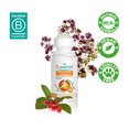 thumbnail image 4 of Puressentiel Muscles and Joints Roller, Muscle Roller, 2.53 oz, 4 of 9
