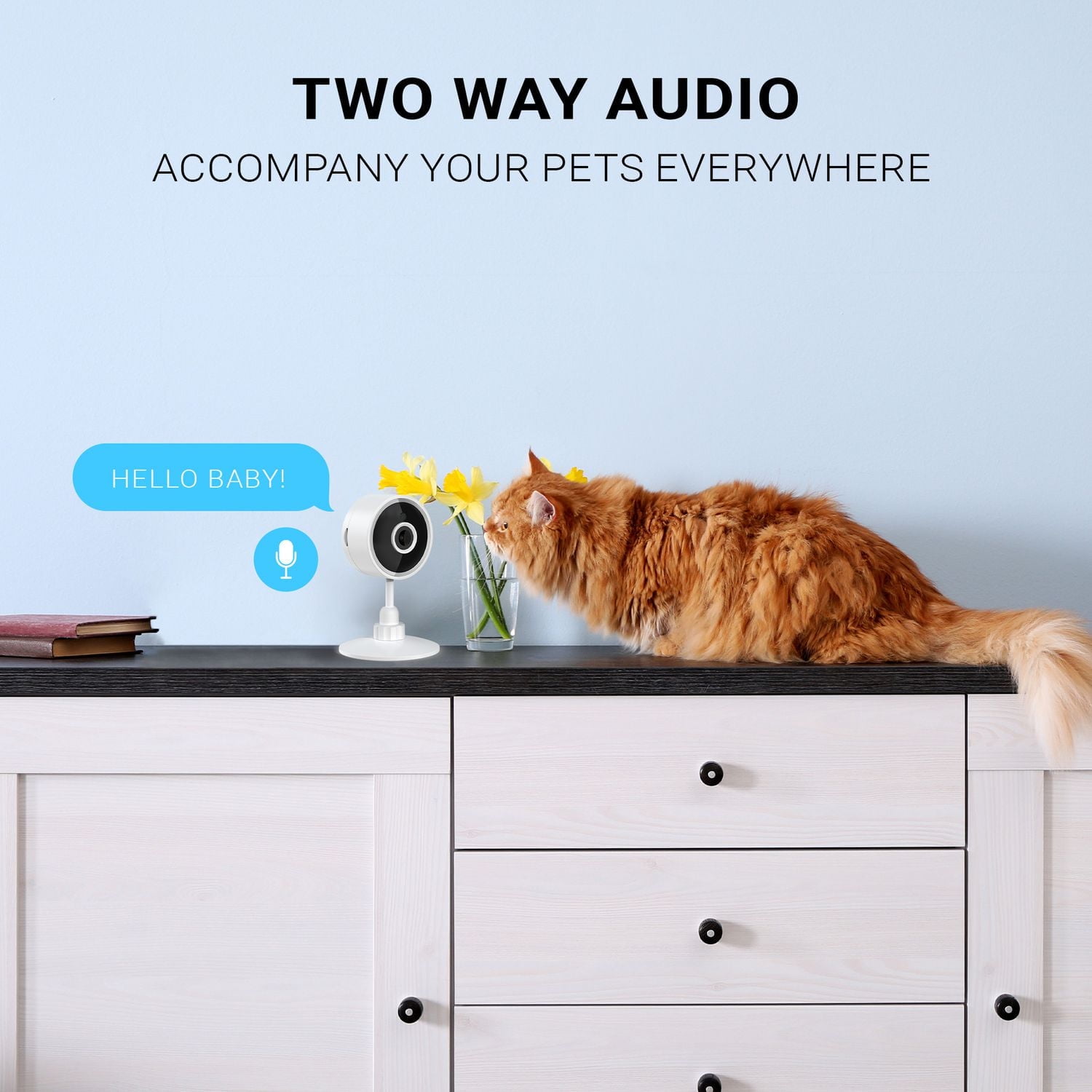 Instachew Purrsight Mini Wi-Fi HD Pet Camera, White