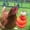 Chicken Vegetable Feeder Under $5 A1675, variant on Vacemry Chicken Vegetable Feeder, Stainless Steel Hanging Skewer with Chain, Foraging Toy to Hold Cabbage and Treats for Hens and Pet Birds