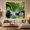 Zen Water Garden, variant on Zen Water Garden with Bamboo and Lily, Peaceful Japanese Inspired for Meditation Enthusiasts Meditation Space Decor Housewarming Gift Tapestry Wall Hanging for Bedroom, Living Room and Dorm