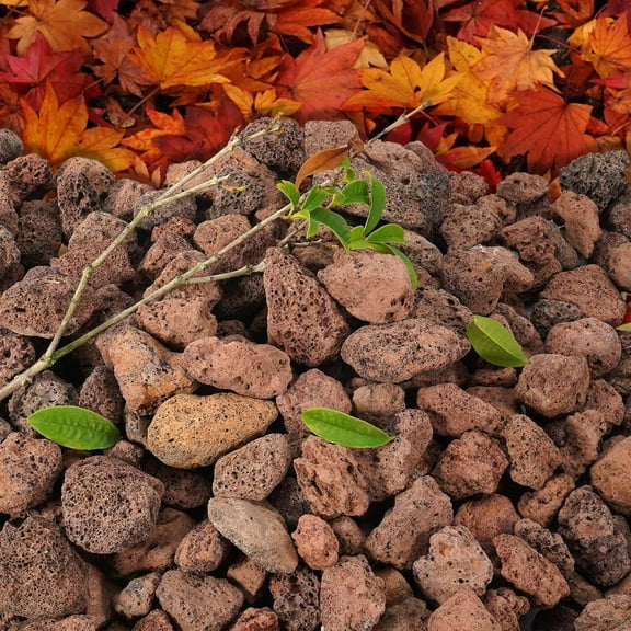 10 Pounds Red Lava Rocks for Fire Pit, Fireplace, Gas Fire Tables, Gas Log Set, Decorative Landscaping Rocks for Indoor and Outdoor (0.8-1.2 Inch)