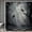 Black White, variant on Halloween Spider Web Shower Curtain, Gold Silver Spiders Black Gothic Shower Curtains, Waterproof Washable Polyester Bath Curtain Set with 12 Hooks, Spooky Halloween Bathroom Decorations, 72" x 72"