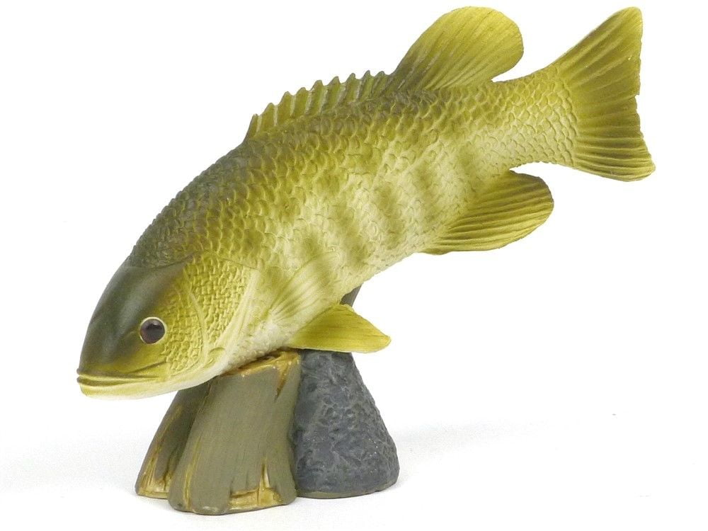plastic bass fish toy