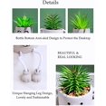 thumbnail image 3 of Plantas suculentas artificiales Linda pierna colgante Oso Falso Suculenta Planta en maceta Decoración para el hogar Oficina Dormitorio Sala de estar Escritorio Estantería Juego de 1, 3 of 5