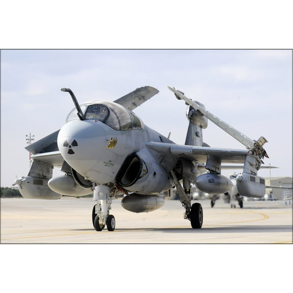 24"x36" Gallery Poster, EA-6B Prowler Star Warriors Electronic Attack Sq (VAQ) 209