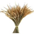 thumbnail image 1 of 100pcs Dried Flowers Golden Natural Dry Wheat Dry Wheat Grass Bouquet Dried Wheat Stalks Wheat Bouquet Bundle Flower Arrangement For Home Kitchen Chur _jiue, 1 of 1