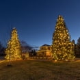 thumbnail image 6 of Novelty Lights Warm White 300K C9 LED Faceted Christmas Replacement Bulbs Dimmable 500 Pack, 6 of 10