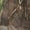 MAX7, variant on Banded Women's White River Wader Pants